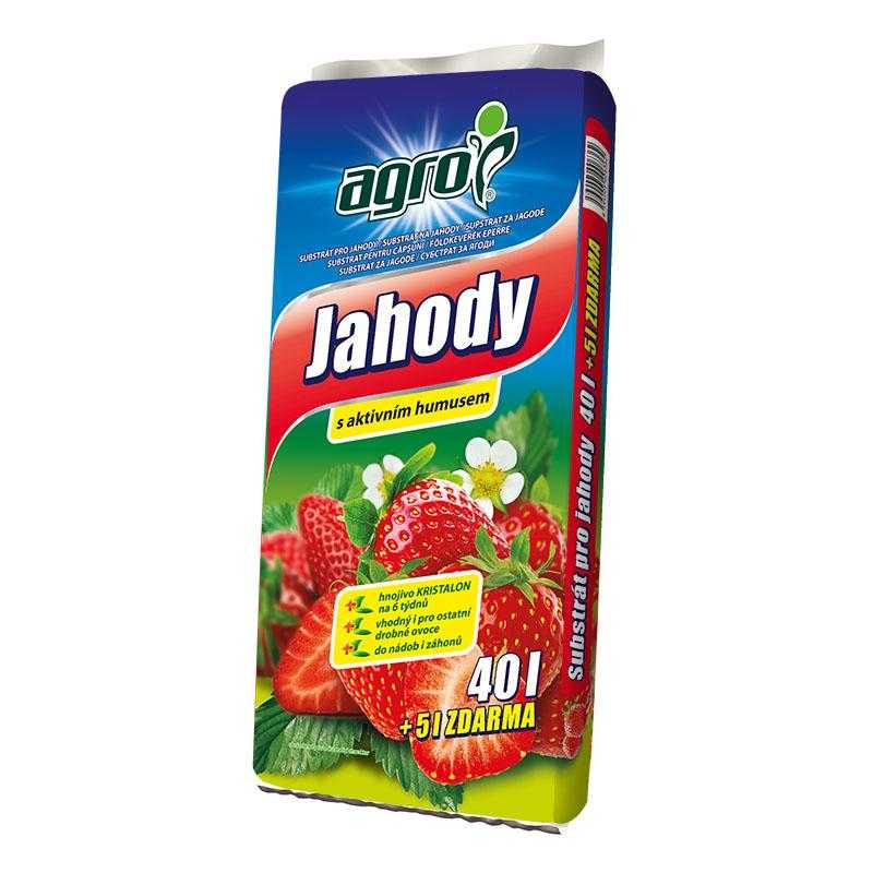 AGRO substrát jahody 40 + 5 l Baumax