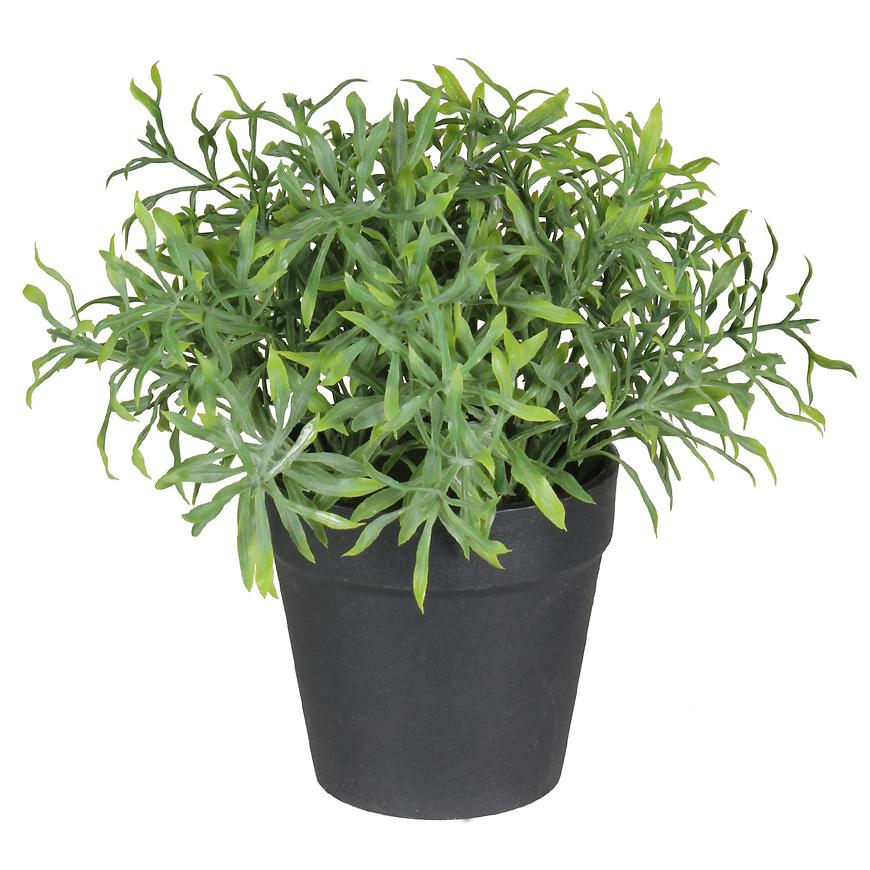 Umělá květina v květináči  herbs 1 20cm