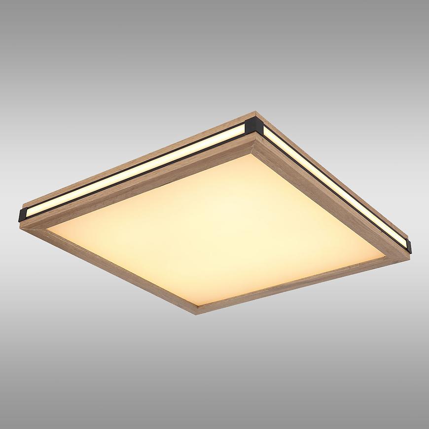 Stropní svítidlo 41589D2 LED  PL1 Baumax